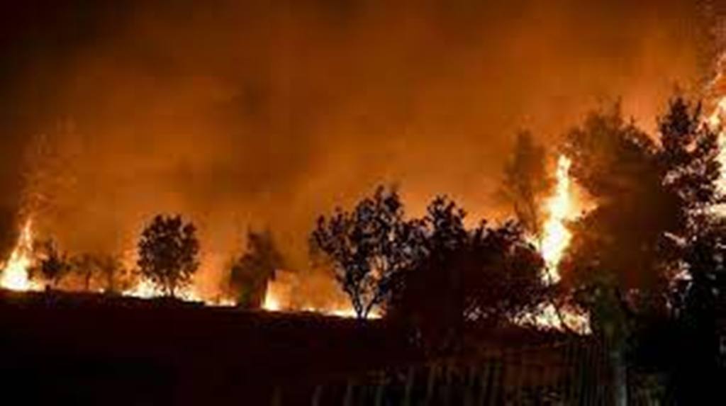 Grèce : les pompiers bataillent contre des incendies aux portes d'Athènes