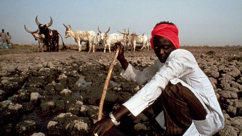 Tchad: 22 morts dans des affrontements entre éleveurs et agriculteurs