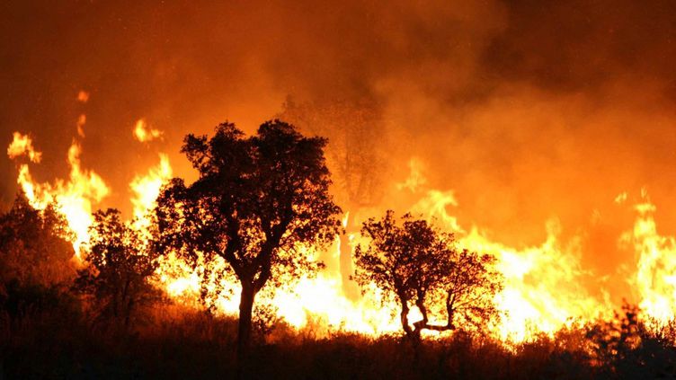 Algérie : des incendies attisés par la canicule font plusieurs morts en Kabylie