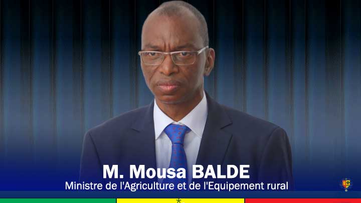 Campagne agricole: les errements du ministre de l’Agriculture qui sapent le moral de paysans (Opinion)