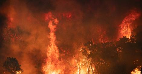 Après l'Algérie, le nord du Maroc ravagé à son tour par des feux de forêts
