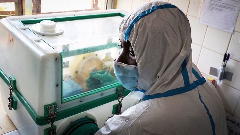 Covid-19, Choléra, Ebola et Marburg : L’Afrique de l’Ouest est mise à rude épreuve