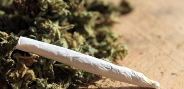 Almadies: dénoncé par son « ami », le dealer cache la drogue dure entre ses fesses