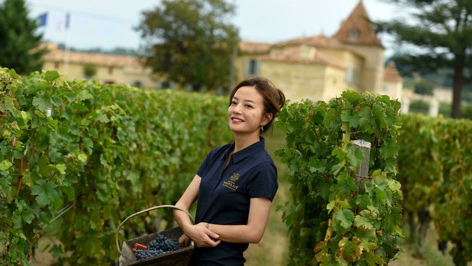 Chine: l'actrice Zhao Wei «effacée» en pleine campagne contre les célébrités «toxiques»