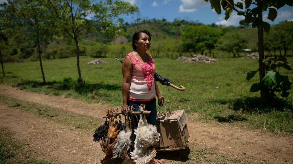 La moitié de la population mondiale vit sans protection sociale