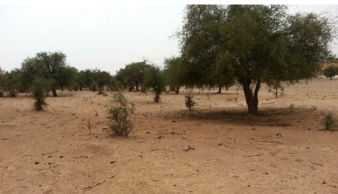 Terrorisme au Niger: le président Bazoum à Tillabéry avec les personnes revenues au village