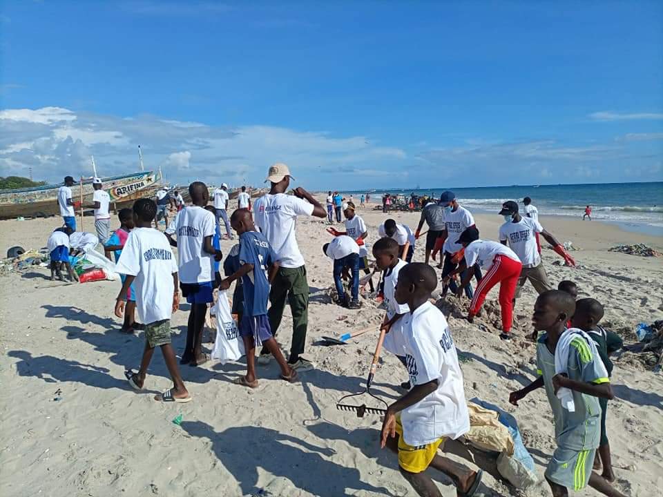 L’Alliance pour le développement de Somone et ses partenaires mènent des opérations de nettoyage, de reboisement et de sensibilisation