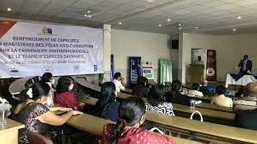 Madagascar: une réunion de magistrats pour réfléchir sur les crimes contre l'environnement