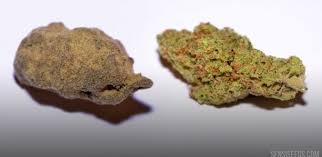 ​Trafic de drogue : un Modou-Modou" arrêté avec 3 briques de haschich en Italie