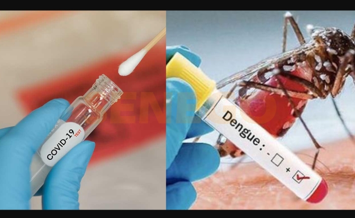 Rosso- Sénégal :  22 cas de dengue signalés