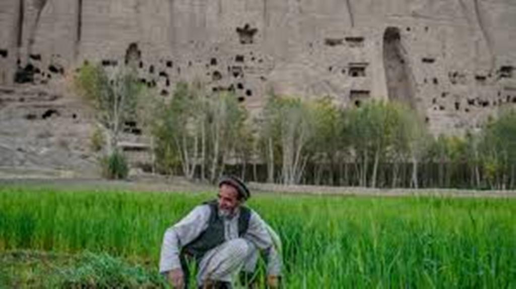 En Afghanistan, les talibans expulsent de force les Hazaras de leurs terres
