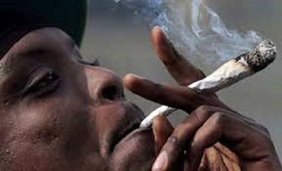 Banlieue de Dakar: surpris, deux fumeurs de yamba nuitamment interpellés par des policiers