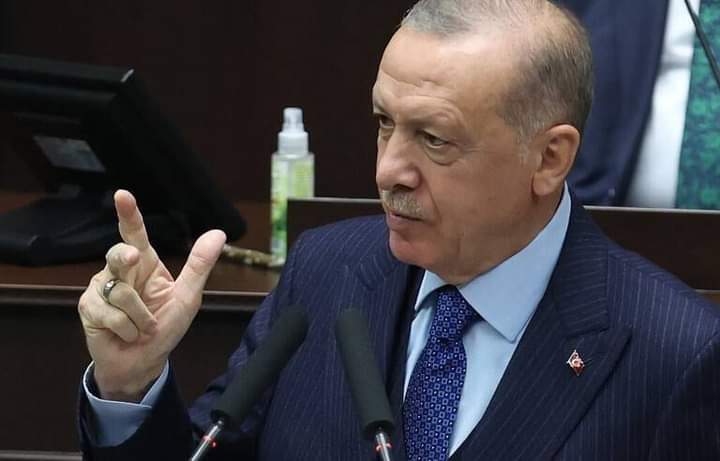 Turquie : le président Erdogan renonce à expulser les 10 diplomates occidentaux