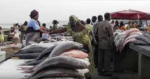 Morcellement parcelles de la place du marché aux poissons de Thiès: les acteurs de la pêche dans tous leurs états