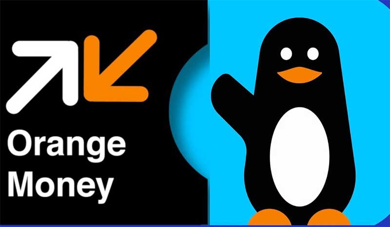 Escroquerie via Wave et Orange Money: la DSC démantèle une bande de faux agents de la Sonatel