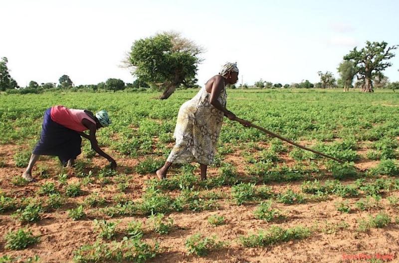 Accès des Femmes sénégalaises aux Ressources économiques: le réquisitoire du Wathi