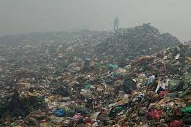 Ibrahima Diagne DG de Promoged: "la mauvaise gestion des déchets fait perdre au Sénégal 85 milliards de Fcfa..."