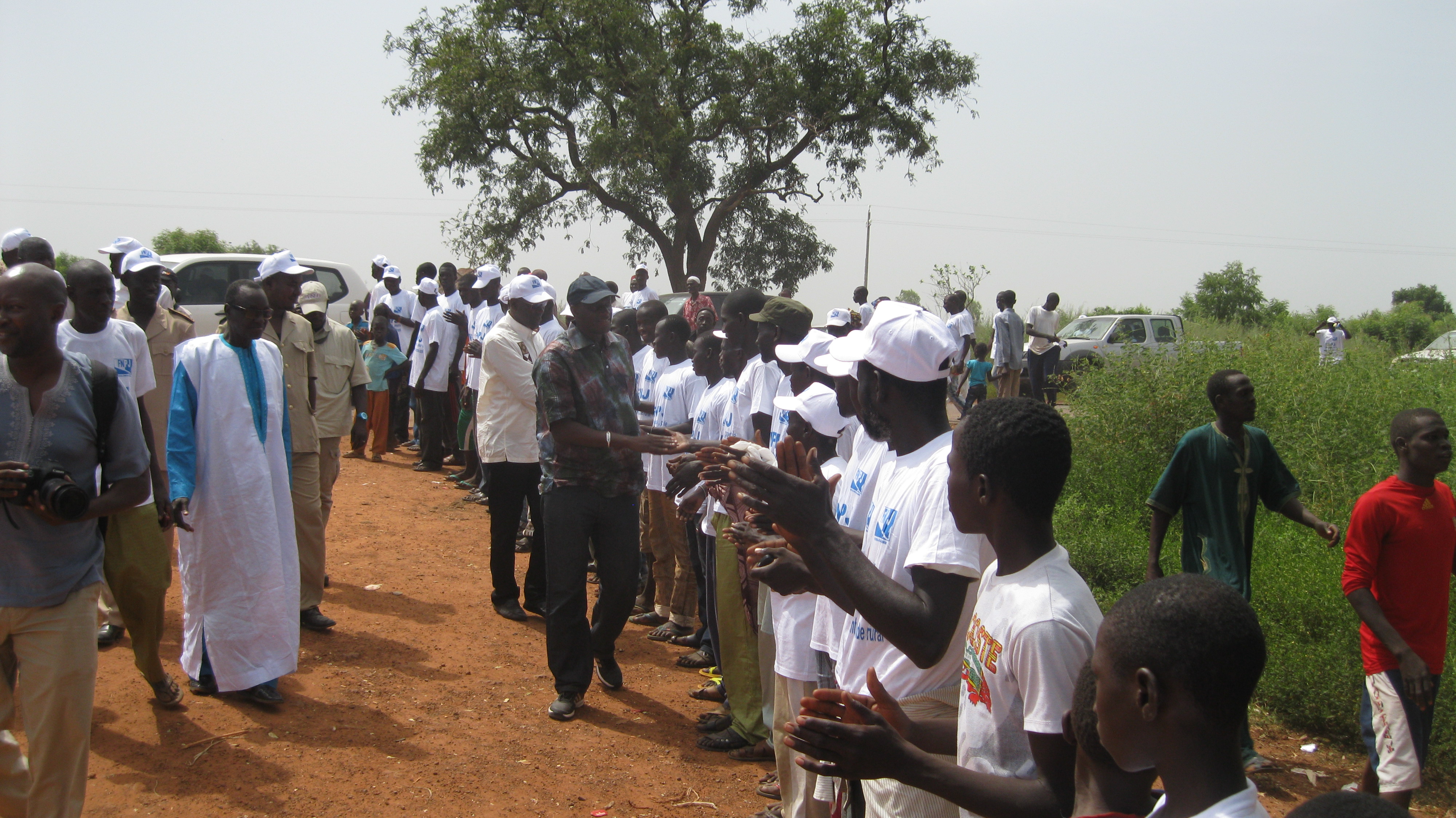 Nioro - Fermes agricoles du FNPJ : près de 300 tonnes de maïs par ferme attendus