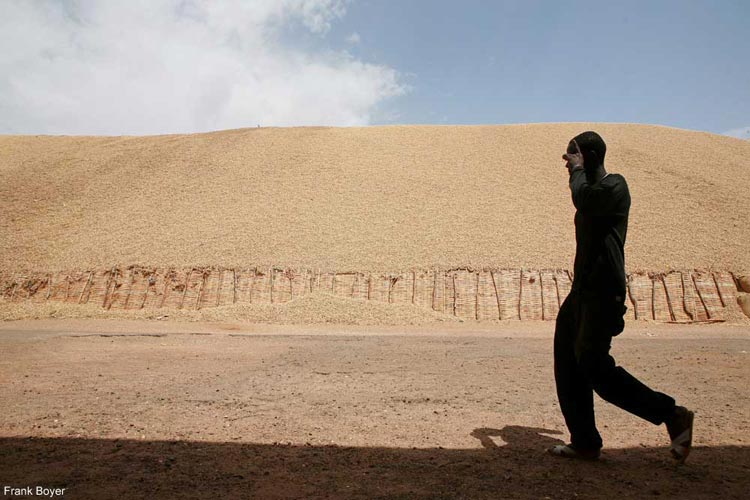 Commercialisation de l’arachide : Le prix du kilogramme fixé à 200FCFA