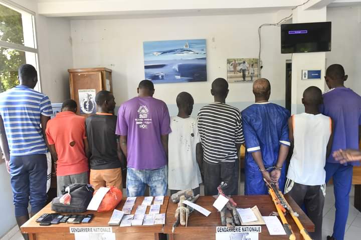 Braquage à Sindia, Sandiara et Ndoulo: Ce que révèle l’enquête des gendarmes