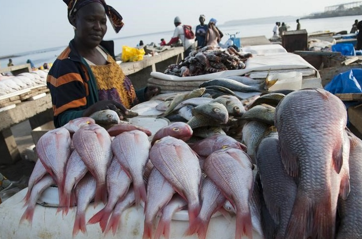 Un Sénégalais consomme 29 kg de poisson par an (PRCM)