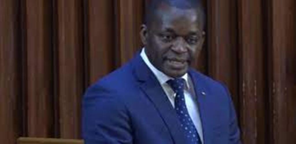 ​Assemblée nationale : Alioune Sarr annonce le projet de construction d'un musée dédié aux femmes de Nder