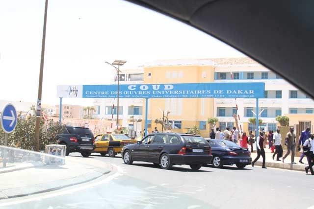 Abdou Faty du SELS Authentique : « Le gouvernement n’a aucune volonté »