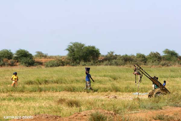 L’AFD appuie le développement de la microfinance pour les habitants des zones rurales et agricoles du Nord du Sénégal