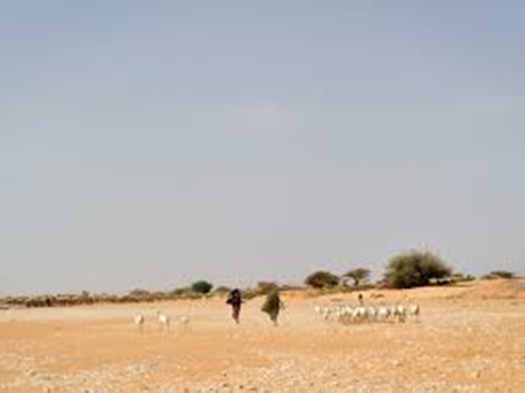 Somalie: un calme précaire règne à Bosasso, ville fantôme désertée par ses habitants