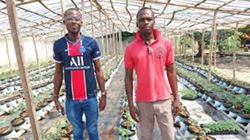 Côte d'Ivoire: l'agriculture hors-sol, le nouveau défi des grandes villes africaines