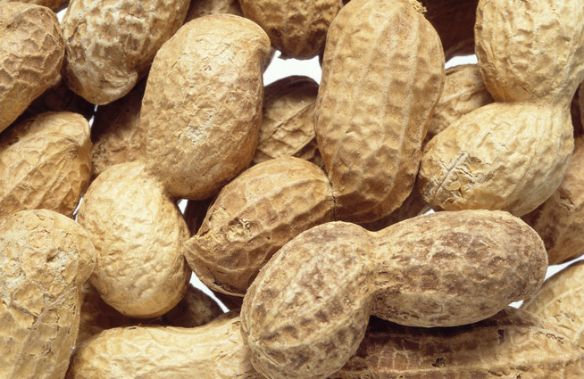 Grossesse : Manger des cacahuètes ne serait pas dangereux, au contraire