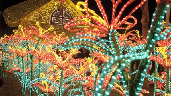 Vue des installations lumineuses de Noël, le long de la rivière Medellin. (Photo by Marco Aurelio/LatinContent/Getty Images)