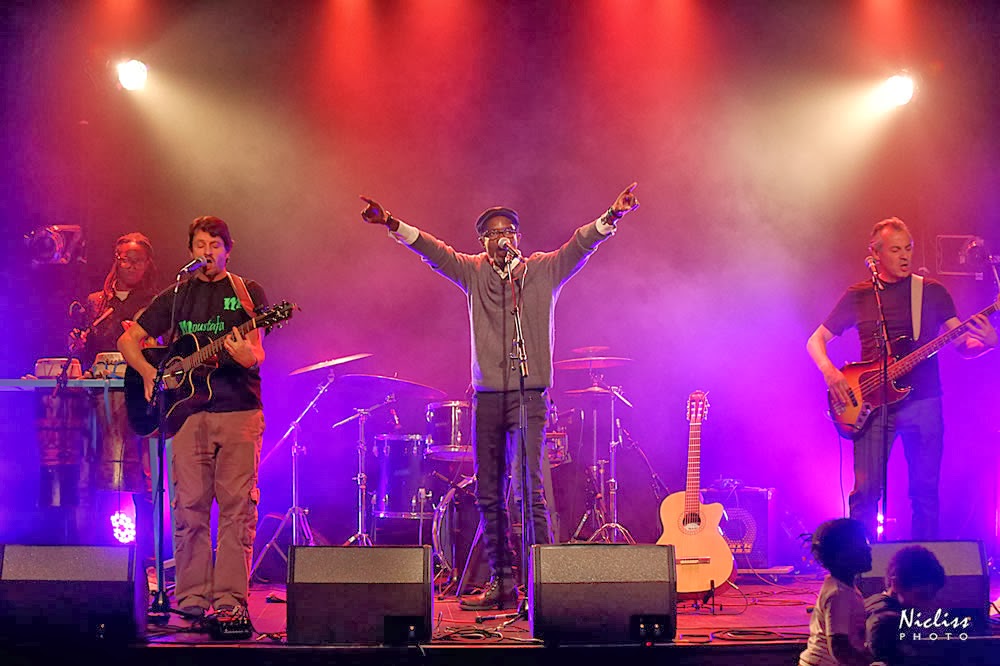 Résidence à la cité internationale des arts de Paris : Les retombées pour Mustafa Naham