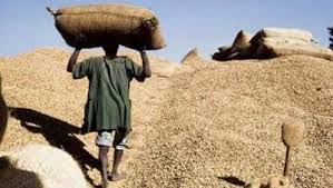 Serigne Mboup : « Les huiliers prennent en otage la filière arachidière alors qu'ils n'y mettent pas le prix »