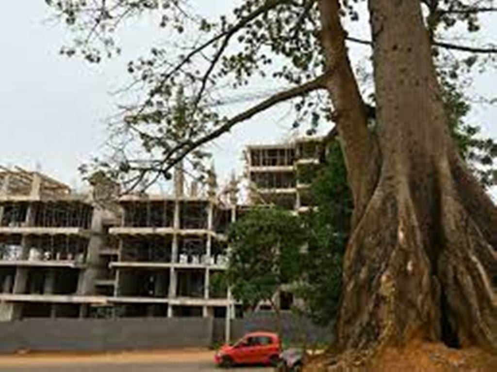 Côte d'Ivoire: l'effondrement d'un immeuble à Treichville fait au moins six morts