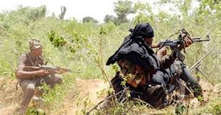 Des bandes armées sévissent en Casamance : 26 vélos 2 motos et 500 000 fcfa  emportés