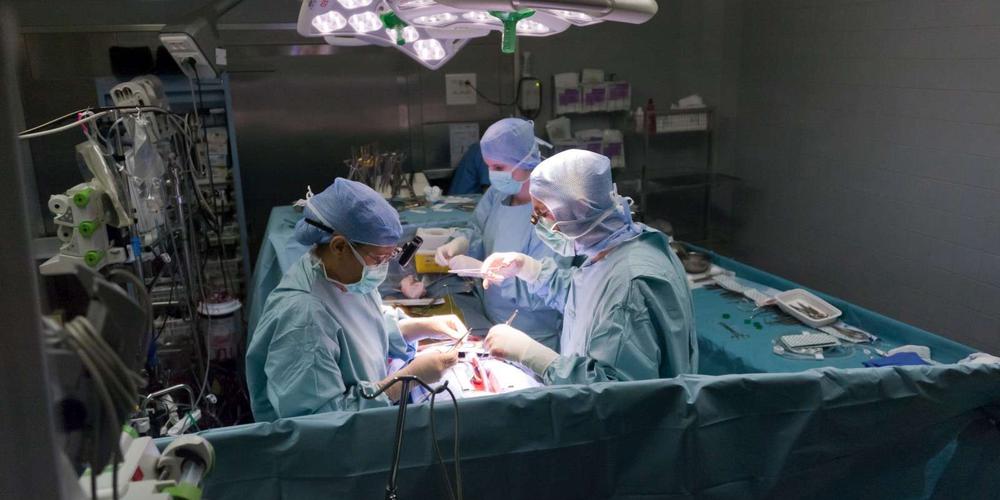 Le premier patient greffé avec un cœur de porc est décédé