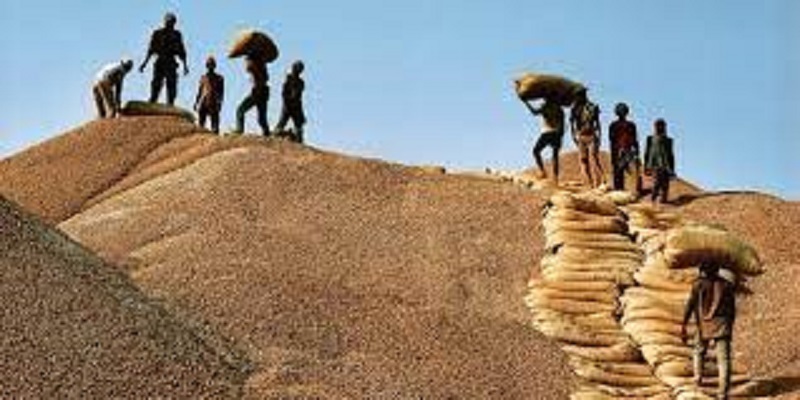 Campagne agricole 2021-2022 : La Dpee confirme une baisse des productions céréalières et arachidières