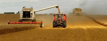 Guerre en Ukraine : Pénuries, hausse des prix alimentaires et de la malnutrition en vue (Fao)