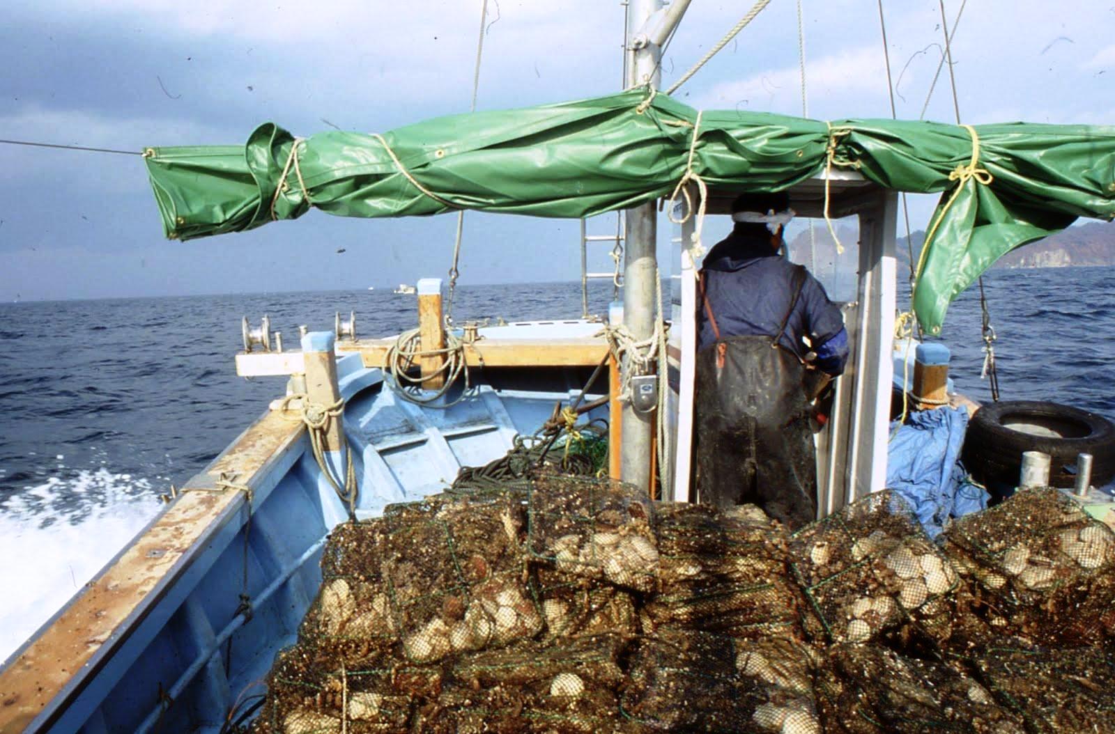 « Il faut dire non aux compagnies de pêche frauduleuses » déclare Greenpeace