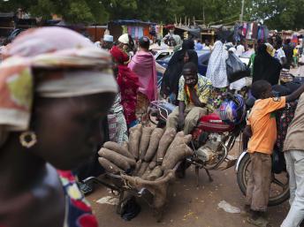 Les partisans du président Issoufou mobilisés à Niamey