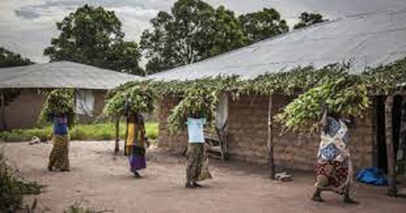 Casamance : plus de 300 personnes déplacées et une dizaine d’écoles fermées suite aux combats