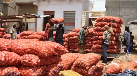 Filière Oignon :L’Etat du Sénégal bloque 7000 tonnes au Port l'UNACOIS menace