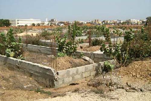 Foncier : la guerre est déclarée à la mairie de Thies, Mbacké et Diourbel