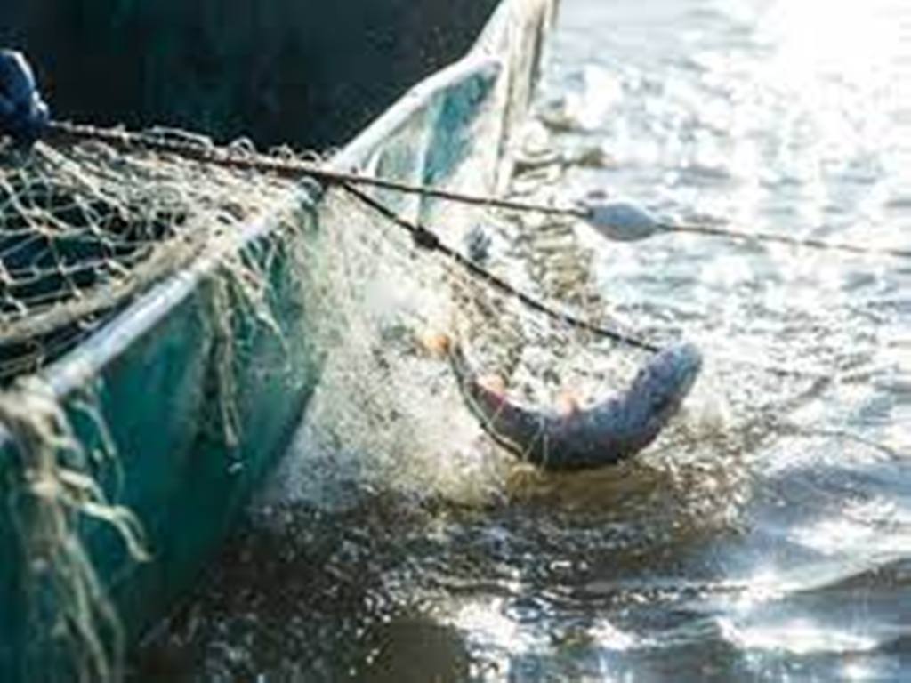 En Afrique du Sud, les pêcheurs traditionnels à la peine