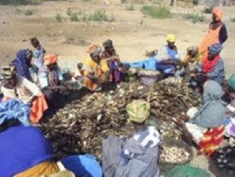 Transformation des produits: les femmes Missira repoussent le concept de base et s'imposent en leader