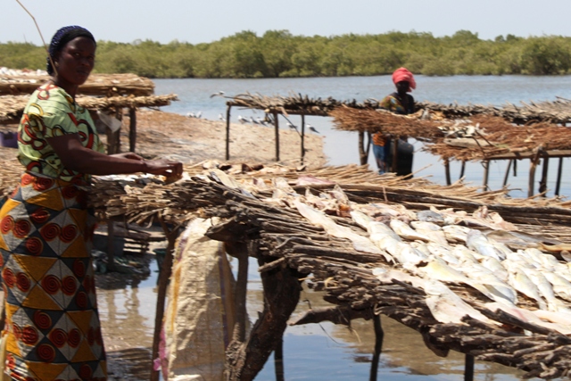 Femmes transformatrices de Missira