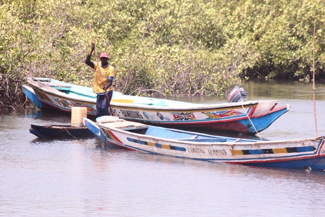 Impact de l’éco-tourisme à Toubacouta : quand les jeunes désertent l’école pour se faire de l’argent 