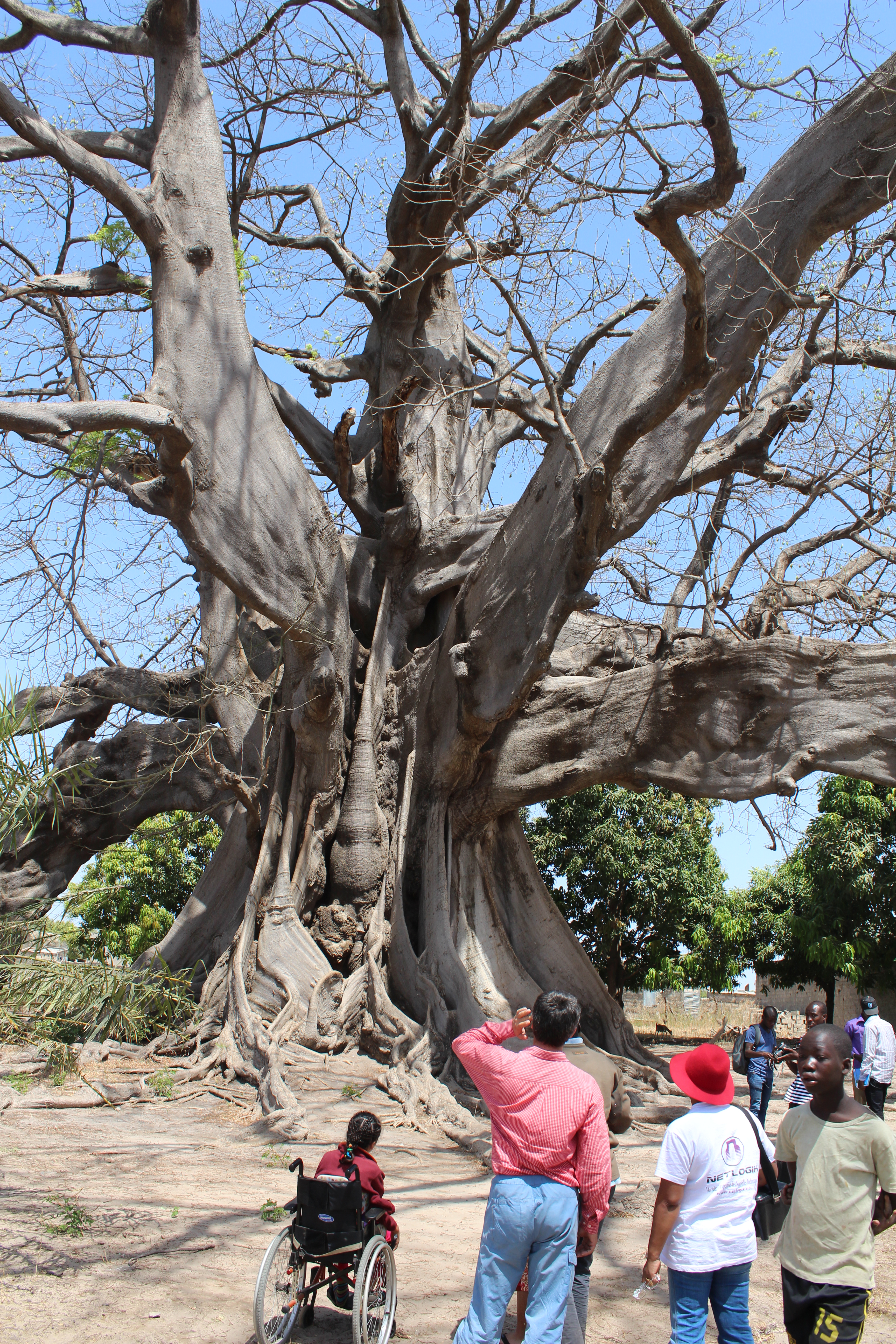 Impact de l’éco-tourisme à Toubacouta : quand les jeunes désertent l’école pour se faire de l’argent 