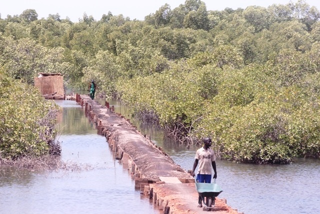 Impact de l’éco-tourisme à Toubacouta : quand les jeunes désertent l’école pour se faire de l’argent 
